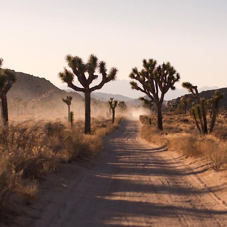 Modern Desert Dream - New Build Twentynine Palms Extérieur photo