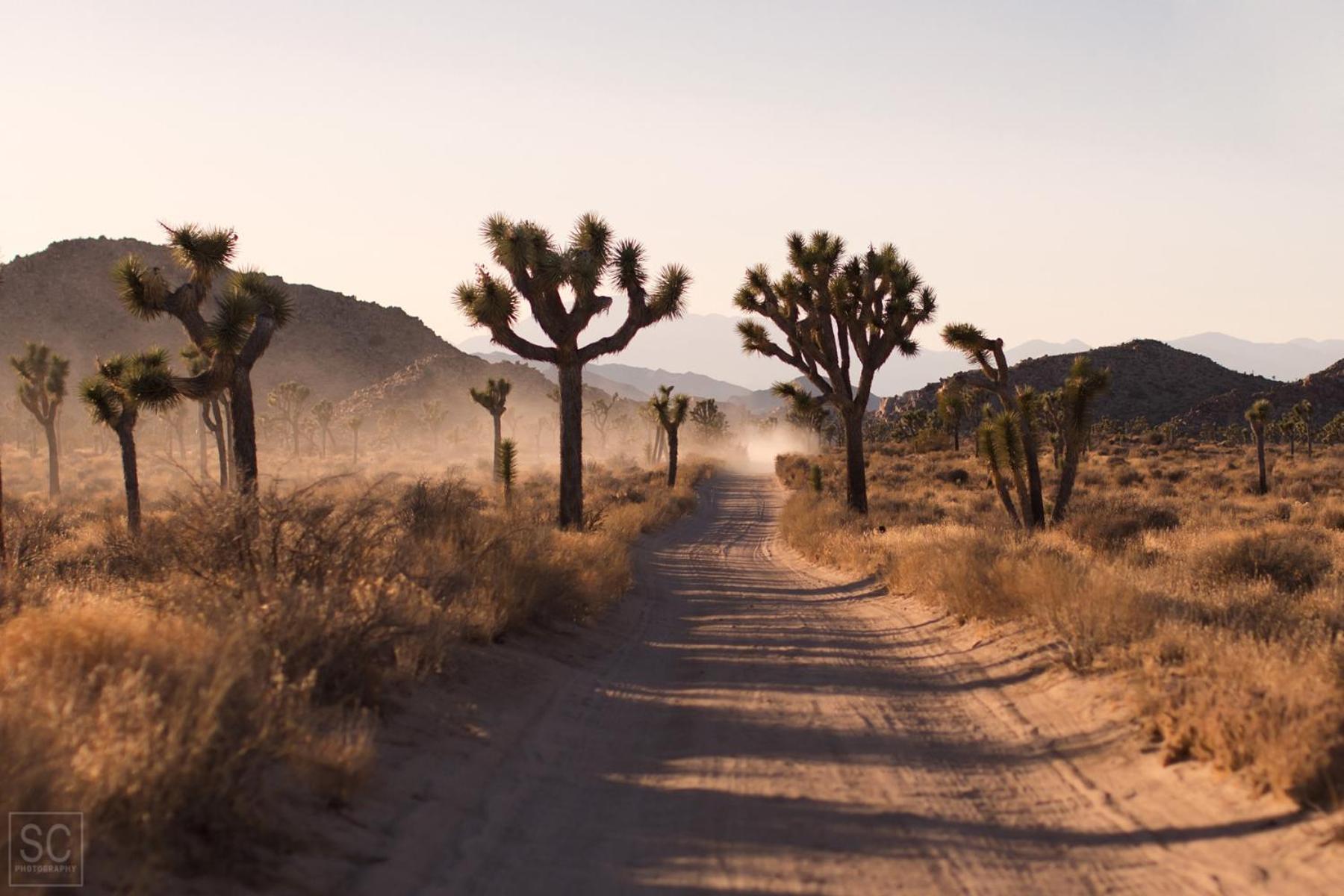 Modern Desert Dream - New Build Twentynine Palms Extérieur photo